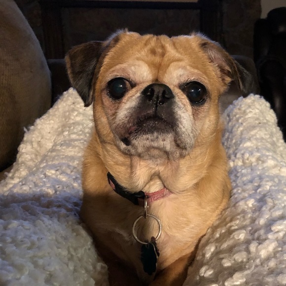 Meet your Posher, Christina - Picture 4 of 4